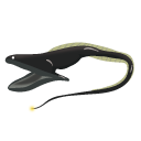 深海魚フクロウナギ
