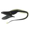 深海魚フクロウナギ