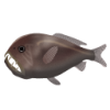 深海魚オニキンメ